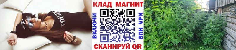 Купить закладку АМФЕТАМИН  Меф  A PVP  Канабис  Cocaine  Соль-Илецк